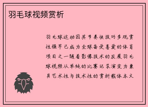 羽毛球视频赏析