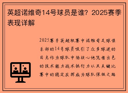英超诺维奇14号球员是谁？2025赛季表现详解